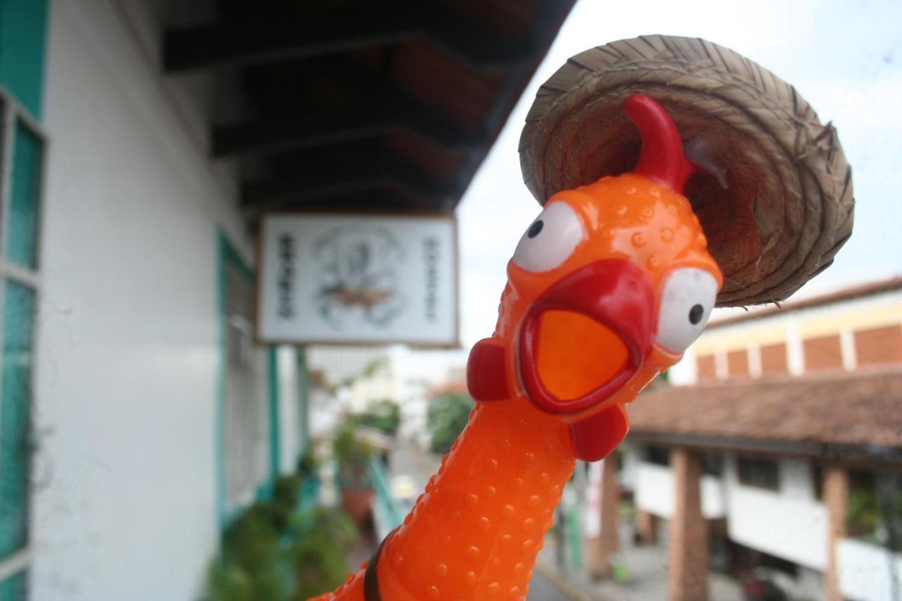 Casa Kraken Hostel Puerto Vallarta Eksteriør billede