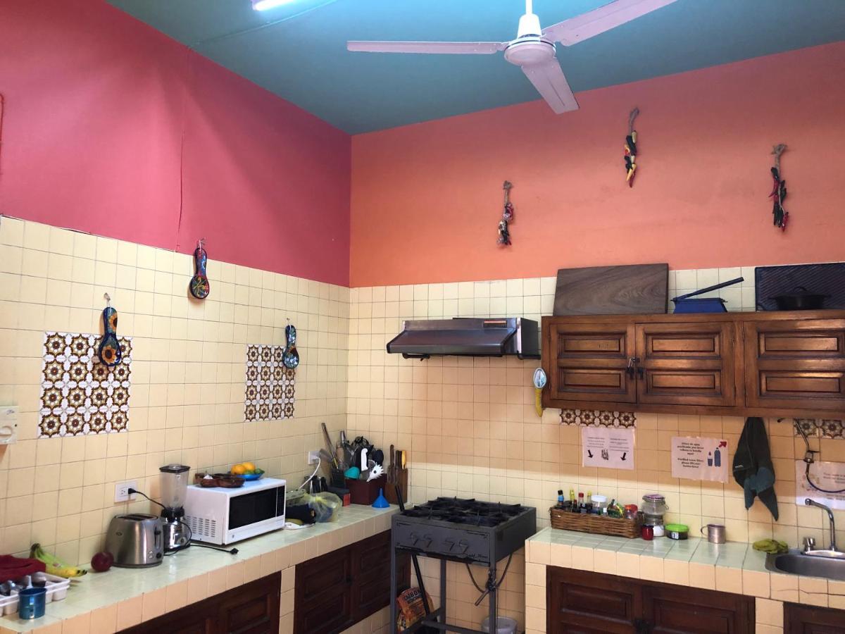 Casa Kraken Hostel Puerto Vallarta Eksteriør billede