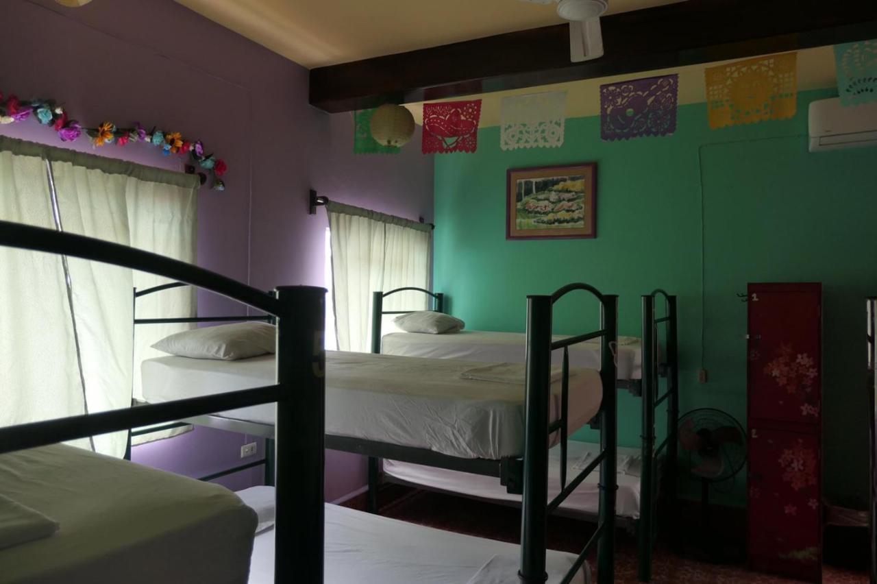 Casa Kraken Hostel Puerto Vallarta Eksteriør billede