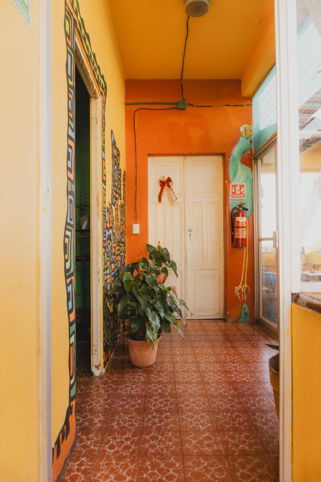 Casa Kraken Hostel Puerto Vallarta Eksteriør billede